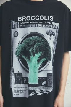 17/-ROUND SHAPE DYED TEE "Broccolis"